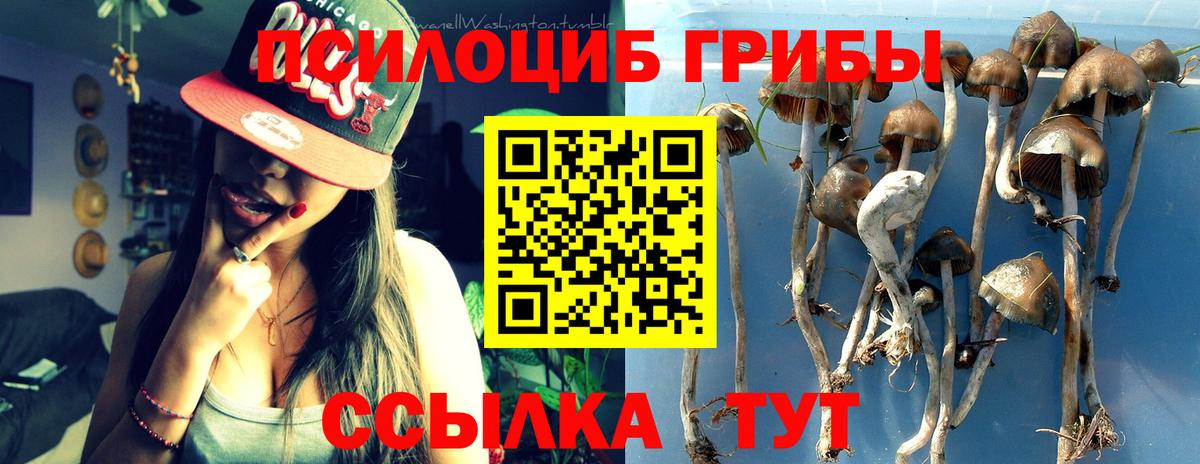 Галлюциногенные грибы мухоморы Берёзовский
