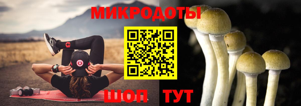 Псилоцибиновые грибы прущие грибы  Вход с VPN  Берёзовский  Галлюциногенные грибы Psilocybine cubensis 